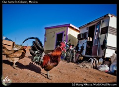 Our home in Colonet, Mexico
