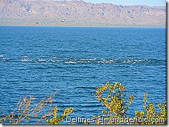 P1110217