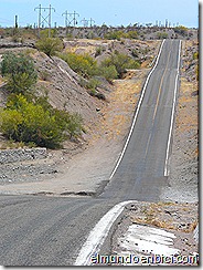 P1110233