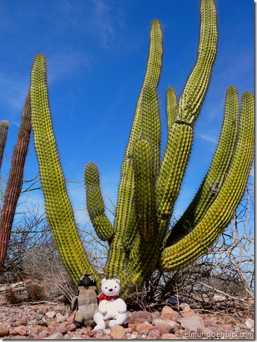 P1110348