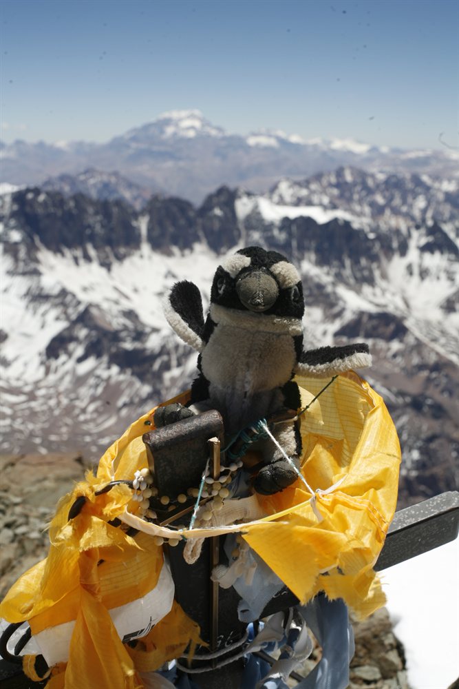 Yo en la cumbre del Cerro el Plata en Mendoza Argentina, casi 6000 mys de altura ...  y  no estoy ni cansado !!