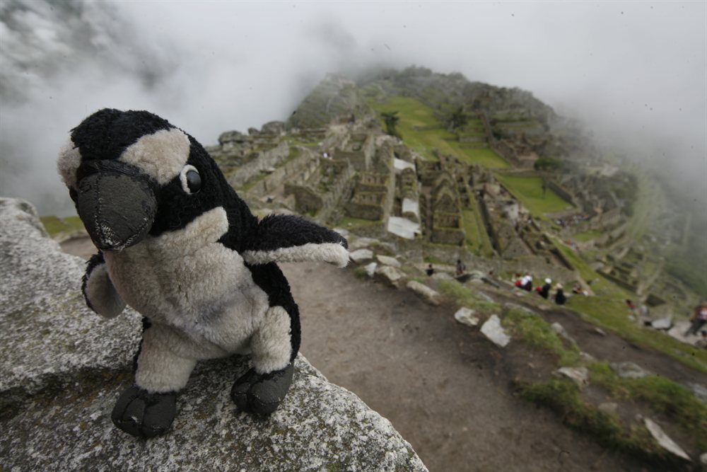 Me in Wayna Pichu, Machu Pichu