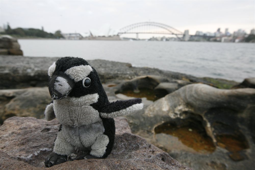 Pablito en Sidney Austalia