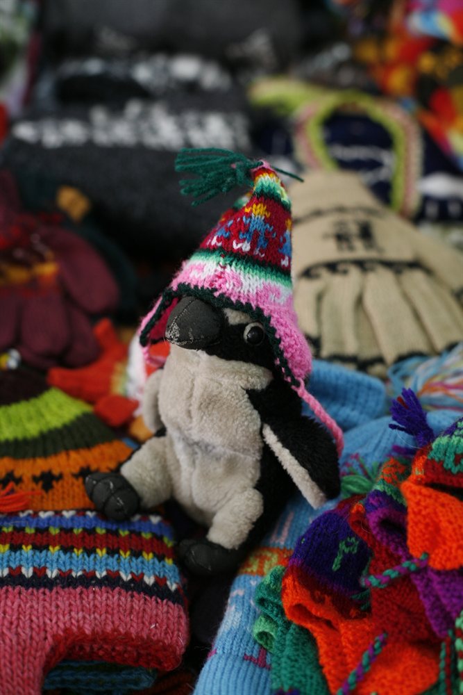 Pablito gorro peruano