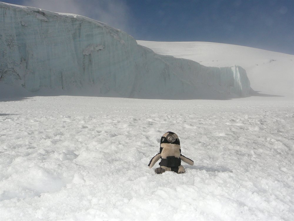 Vista de los Glaciares cerca del Crater del Kilimanjaro