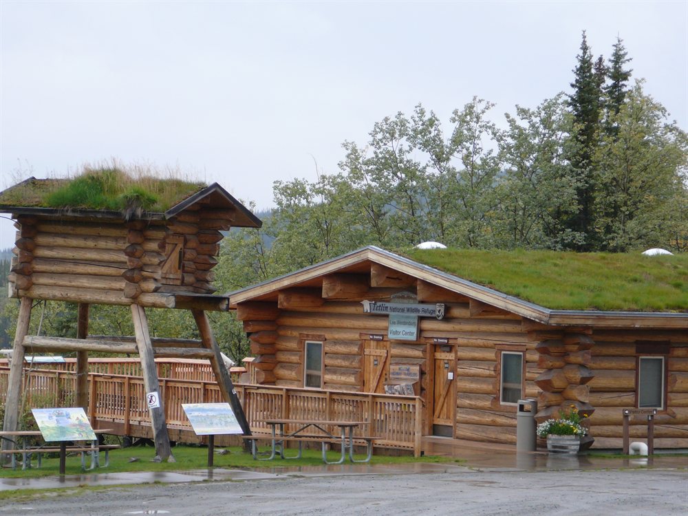 Ultima cabana de Informacion para turistas en Alaska !, llovia a cantaros las senoras nos convidaron te con leche y sanguches de salmon !, y nos levantaron el animo