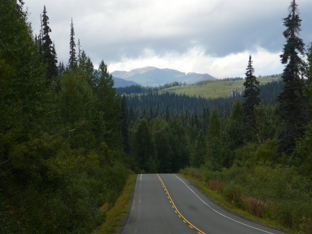 Cassiar Highway