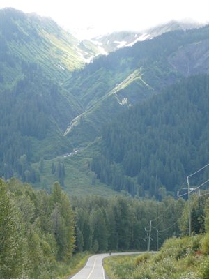 Glaciares y bosques camino a Stewart
