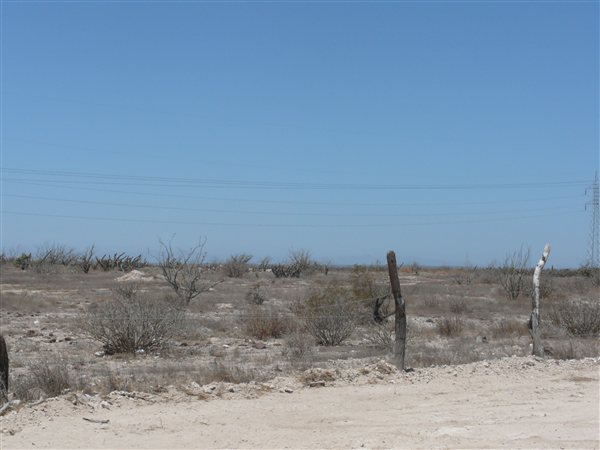 http://ranchopartera.com/db5/00483/ranchopartera.com/_uimages/mulege-picture-of-mexico-12.jpg